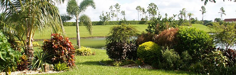 South Florida lawn care - Southern Green Chemical Lawn Care